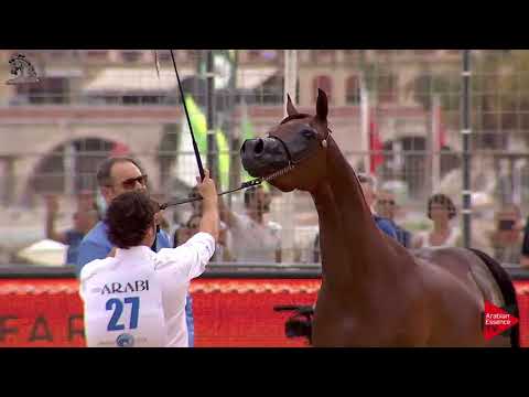 N.27 BALADA AL ALFABIA - Menton 2018 - 2 Years Old Fillies (Class 2A)