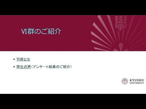 （九大工学部）VI群の紹介