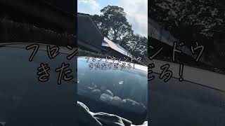 【80ハリアー日記2】洗車動画🚿