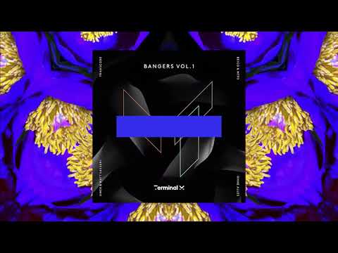 Transcode - Dying Light