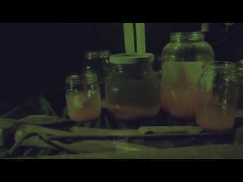 FETO IN FETUS - Pierced With Nails (Official Music Video)