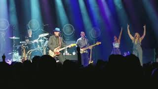 Elvis Costello - Every Day I Write the Book, Pump It Up, Peace Love and Understanding