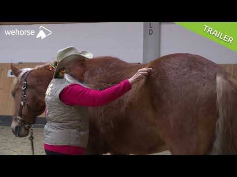 Tarantel-TTouch für Pferde: Wie du deinem Pferd die Angst nehmen kannst | Linda Tellington-Jones