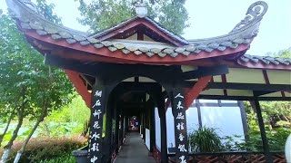 Not Suzhou! Chengdu’s Guihu Lake Hides Literati Romance & a Sea of Osmanthus