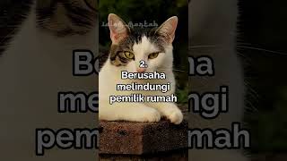 Download lagu Kucing Liar Sering Ke Rumah Kita? Pertanda Ini!! #shorts #dakwah #islam #ceramah #kucing #rezeki mp3 Download lagu Kucing Liar Sering Ke Rumah Kita? Pertanda Ini!! #shorts #dakwah #islam #ceramah #kucing #rezeki mp3