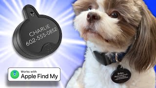2-in-1 Pet Tag - an Apple Find My Tracker & Pet Identification - like an AirTag!