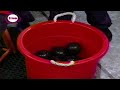 Slime Time LIVE Plankton S Chum Bucket
