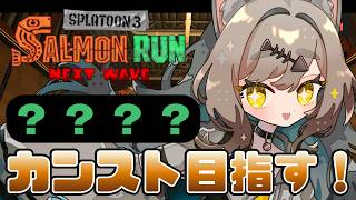 【スプラトゥーン3】鮭しばく！カンスト目指して頑張るぞ！沼ったら助けて！！！【鈴無のら￤新人VTuber】