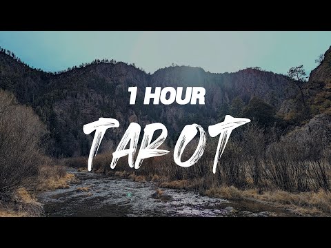 .Feast - Tarot [ 1 HOUR ]