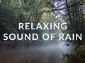 2 Minutes Relaxing Sound of Rain | Destress and relief | Nature Sound