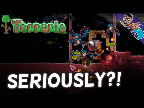 FLESH FISHING FOR LEGENDARY LOOT! (Terraria Zenith Seed Legendary Mode)