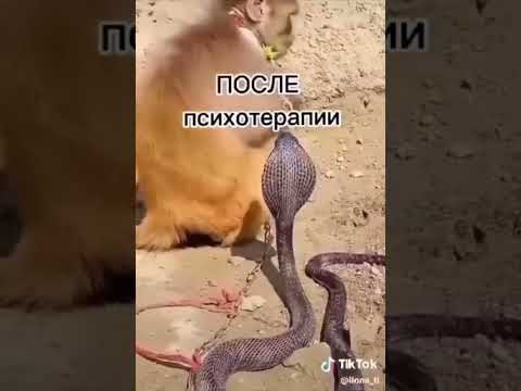 не повторять! #funny