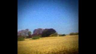 Sun Kil Moon - Carissa