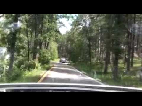 Florida Wild Hogs Adventures P II