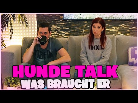 Hunde Talk, bald ist es soweit! | Frühstücks Highlights