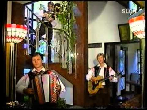 Ansambel Braneta Klavžarja - Vsega lepega je enkrat konec - L. 1993