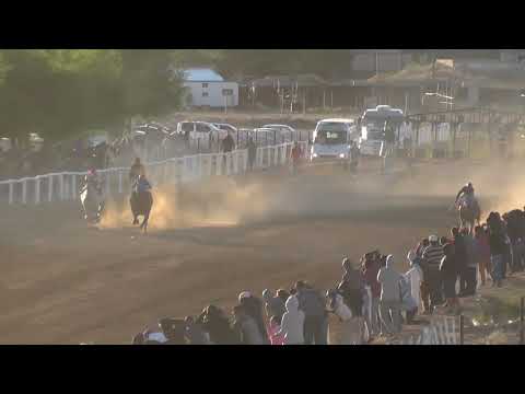 SINCERA - Club Hípico Viento Sur Cutral Co - 12-12-21