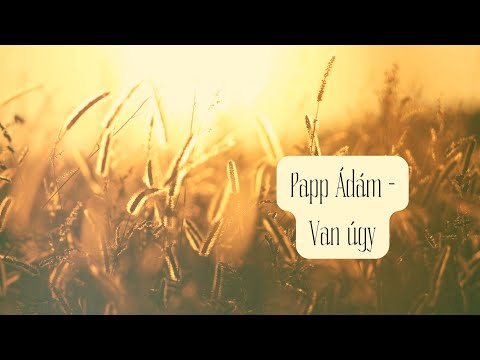 Papp Ádám - Van úgy