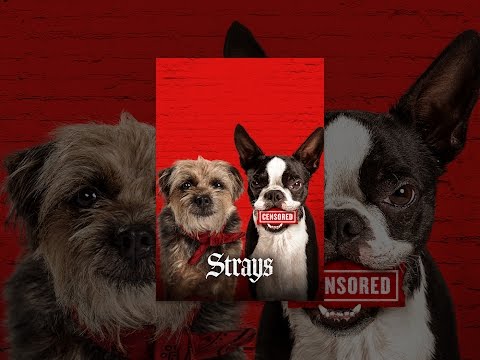 Strays