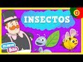 Mundo Bita Portugal - Insectos