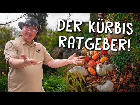 , title : 'Kürbis richtig anbauen 🎃 - Tipps zur erfolgreichen Aussaat, Pflege und Ernte'