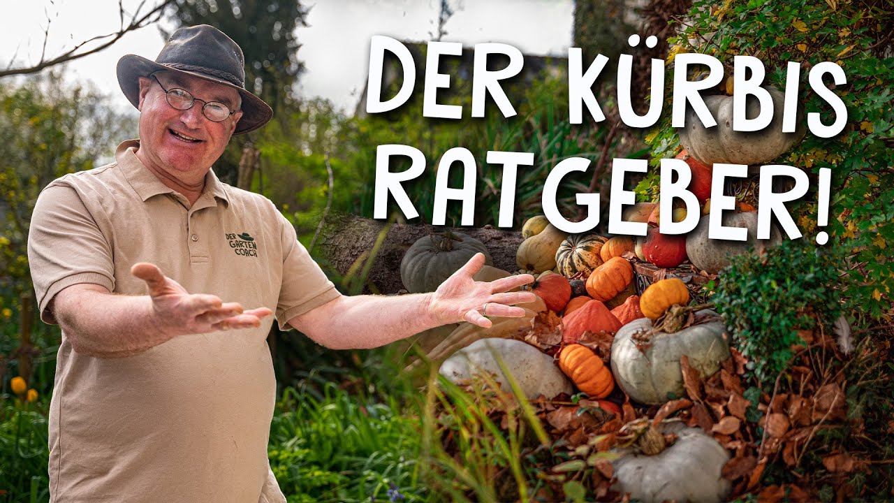 Gemüse anbauen Video 2