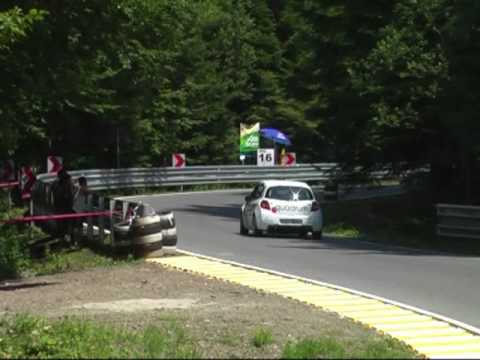 GSMP Limanowa 2010 - ILMANTEAM