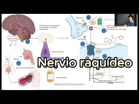 Antiemetics: How do they work? #cancer #ondasetron #vomiting #nausea