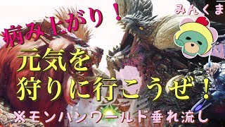 【MHW】続モンハンワールド垂れ流し～