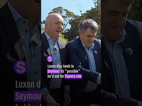 Thumbnail for Luxon digs heels in Seymour its "possible" he'd ask for finance role | Stuff.co.nz