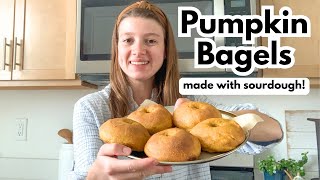 Soft and Fluffy Sourdough Pumpkin Bagels | Made From Scratch!