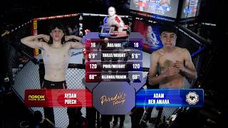 Puech vs Ben Amara