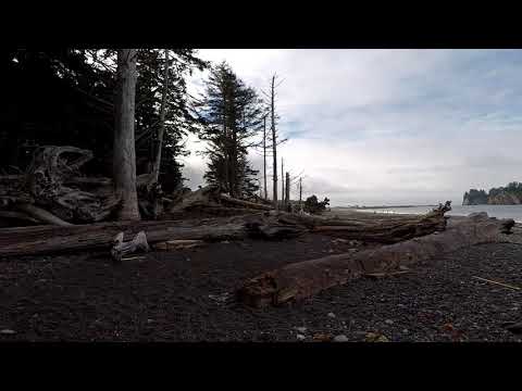 Olympic N.P. - Rialto beach