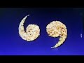Sesame Street It S A Snail