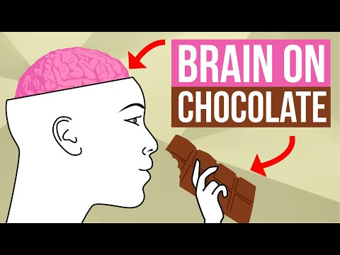 Your Brain On Chocolate