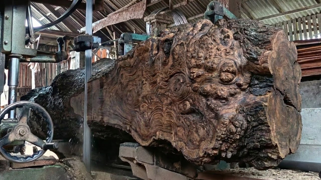 The dangerous black teak sawmill is full of beauty