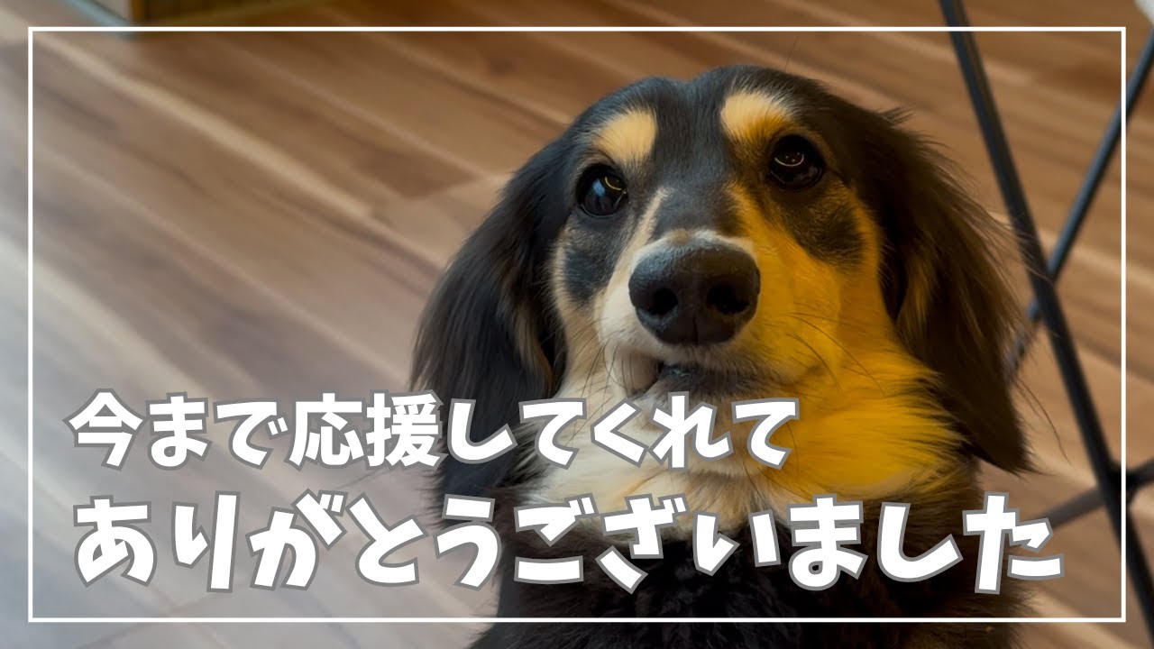 【重要】みなさん今までありがとうございました