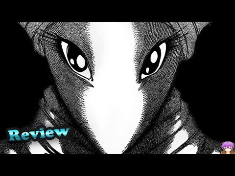 Toriko Chapter 323 Manga Review - Massive Info Dump トリコ
