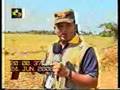 Wanni Operations 24th June 2008