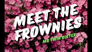 Meet the Frownies - Mr Twin Sister - lyrics video