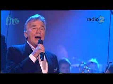 Willem Nijholt - Johnnie