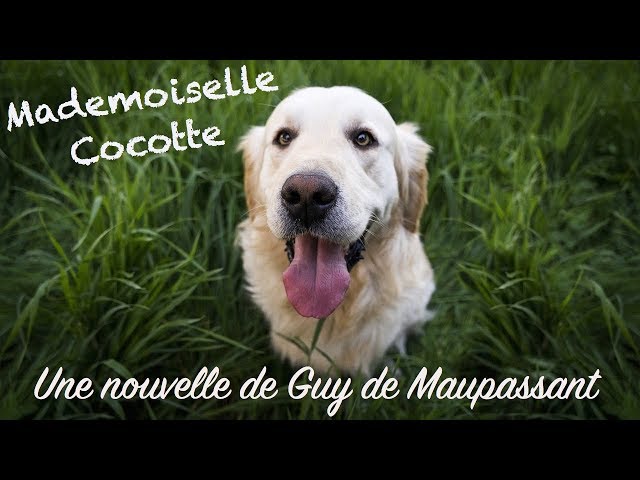 הגיית וידאו של mademoiselle בשנת צרפתי