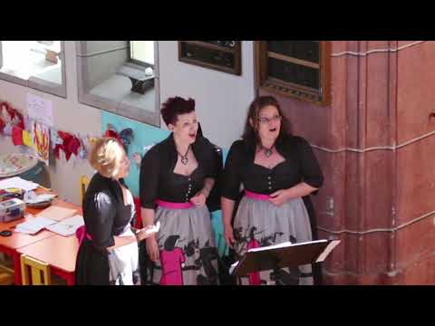 Kärntner Triologie - Lei mei anzige Liab