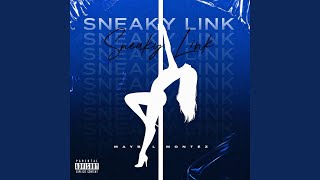 Sneaky Link
