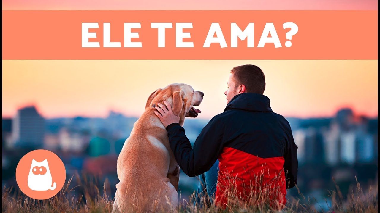 Você é o favorito do seu cachorro? - 10 sinais 🐶❤