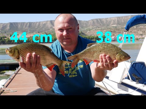 Day 8 at Ebro-fishing.pl ........ Competition with Grandpa
