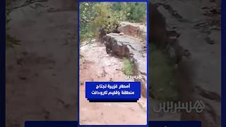 أمطار غزيرة تجتاح منطقة إفرا بأوناين بإقليم تارودانت thumbnail