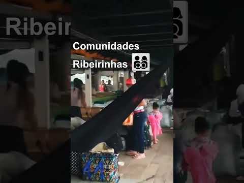 Viagem entre Humaitá e Manicoré - AM 📦 👥