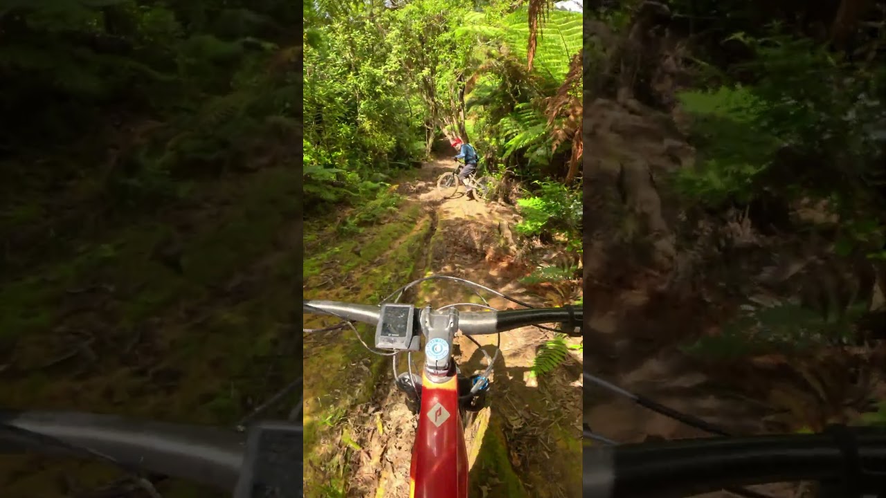 YouTube Short thumbnail