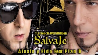 Salvaje Lyrics English Translation